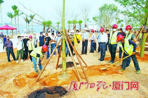 廈門 綠化企業信用越好 招投標機會越多