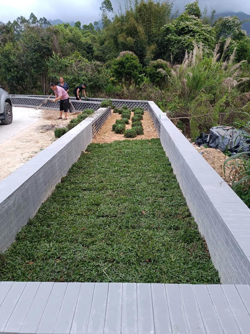 白馬村雙一移民村公園綠化照片#施工現場實拍 #園林綠化工程