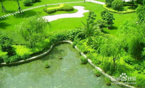 深圳花木租擺園林綠化施工與養護