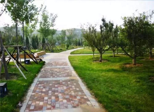 園林綠化工程質(zhì)量關(guān)如何把控