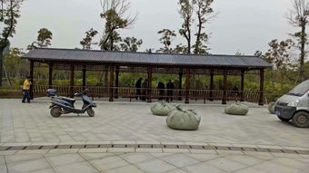 生態(tài)木花架與體育場(chǎng)地設(shè)施工程施工 價(jià)格、耐用性與施工指南