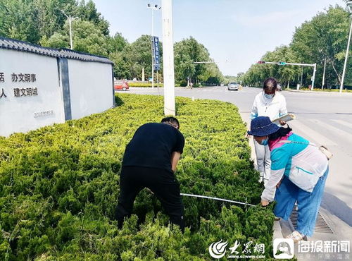 青州市園林綠化和環衛中心 卡準綠化施工精度尺，拉緊項目驗收質量繩——以高標準打造體育場地設施工程